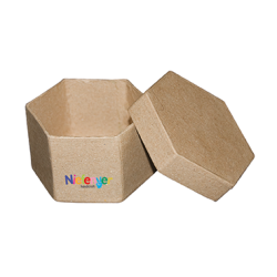 Pack of 10 Hexagonal boxes